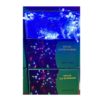 Luces de Navidad Azules LED x100