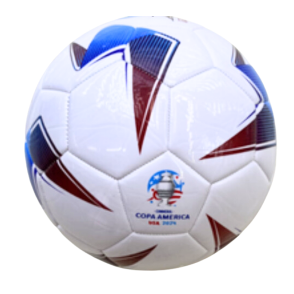 Pelota futbol